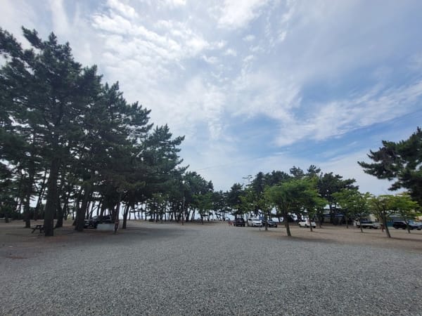 안면도 몽산포 오토캠핑장 이용정보