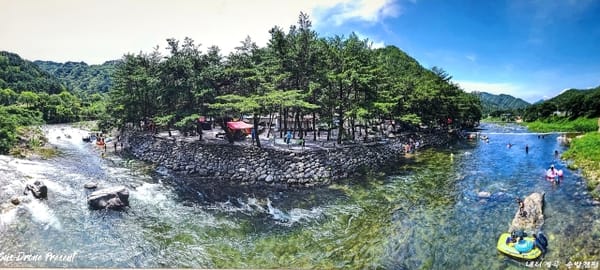 내리계곡 솔밭캠핑장 이용정보