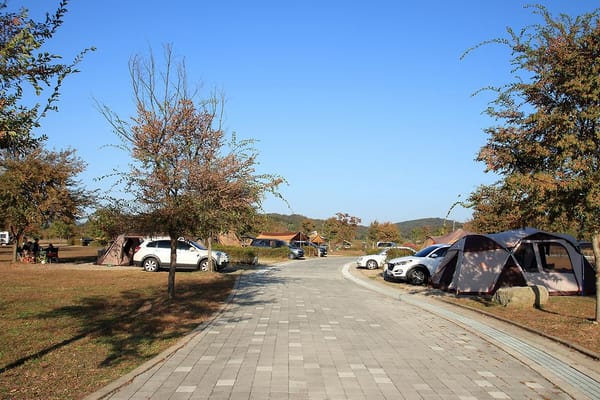이포보 오토캠핑장 완벽 가이드 🌿⛺