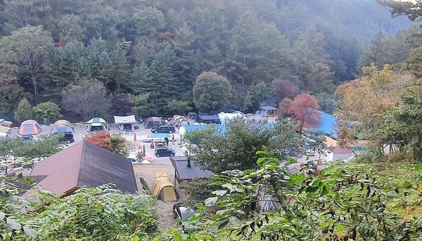 🏕️ 양평숲 비룡캠핑장 캠핑장 정보