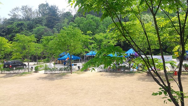[서울/노원] 초안산 캠핑장